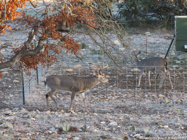 Listing photo id 18 for 0 Cr 121  