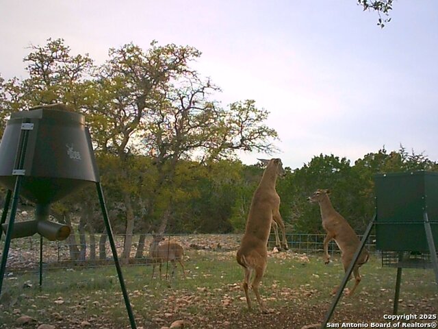 Listing photo id 21 for 0 Cr 121  