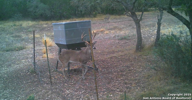 Listing photo id 24 for 0 Cr 121  