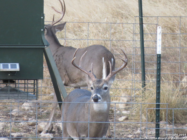 Listing photo id 2 for 0 Cr 121  