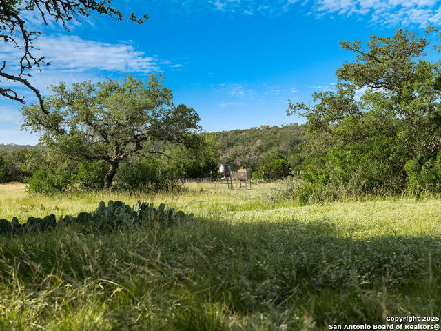 Listing photo id 43 for 0 Cr 121  