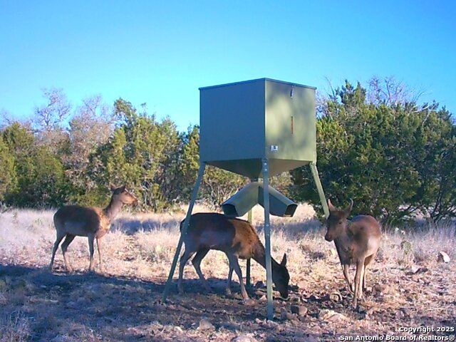 Listing photo id 46 for 0 Cr 121  