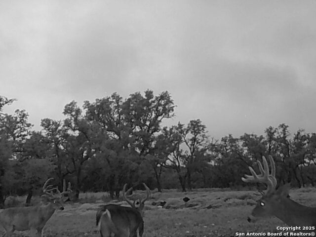 Listing photo id 47 for 0 Cr 121  