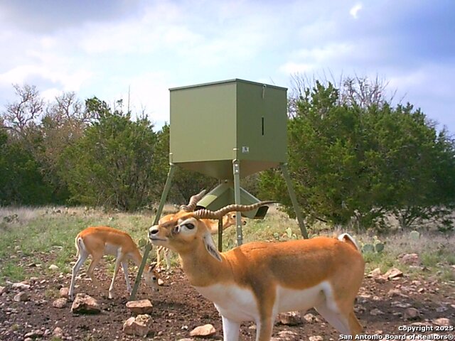 Listing photo id 51 for 0 Cr 121  