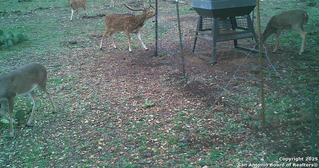 Listing photo id 53 for 0 Cr 121  