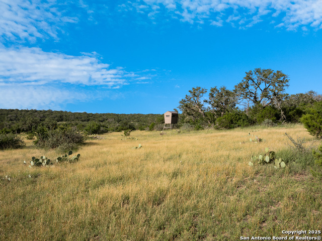 Listing photo id 56 for 0 Cr 121  