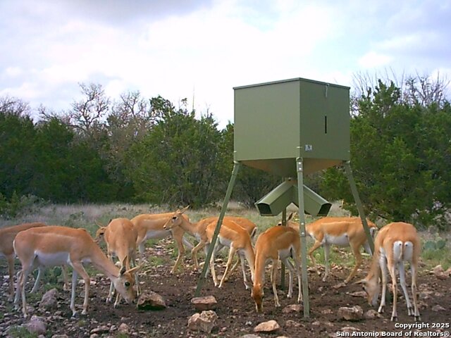 Listing photo id 4 for 0 Cr 121  