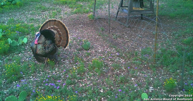 Listing photo id 58 for 0 Cr 121  