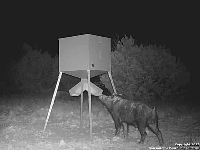 Listing photo id 59 for 0 Cr 121  