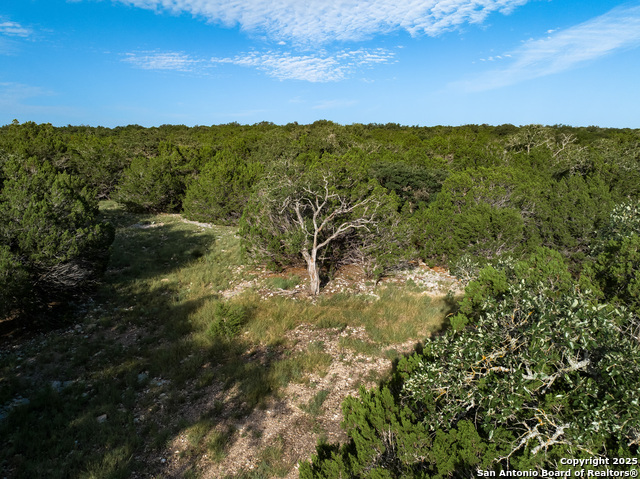 Listing photo id 61 for 0 Cr 121  