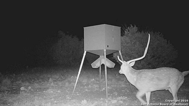 Listing photo id 63 for 0 Cr 121  