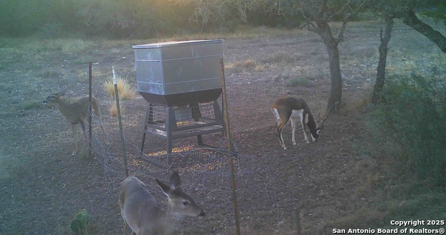 Listing photo id 67 for 0 Cr 121  