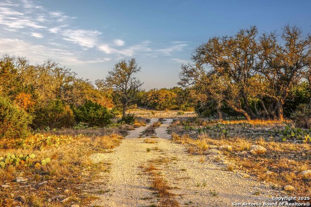 Listing photo id 5 for 0 Cr 121  