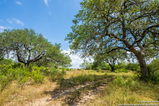 Listing photo id 1 for 4159 Fm 1796