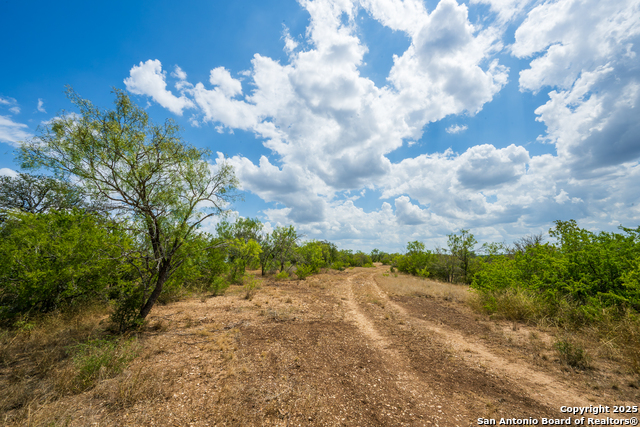 Listing photo id 2 for 4159 Fm 1796