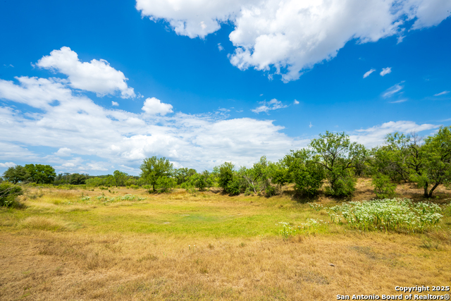 Listing photo id 4 for 4159 Fm 1796