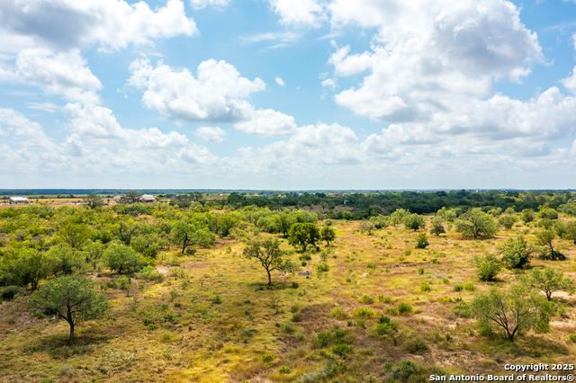 Listing photo id 5 for 4159 Fm 1796