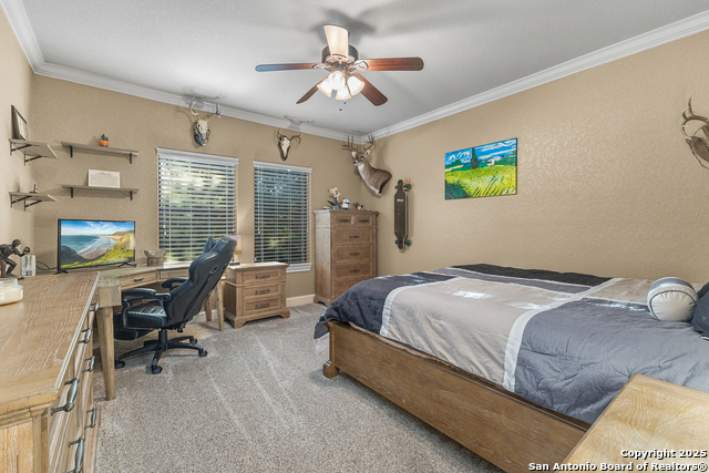 Listing photo id 36 for 324 Heavens Way
