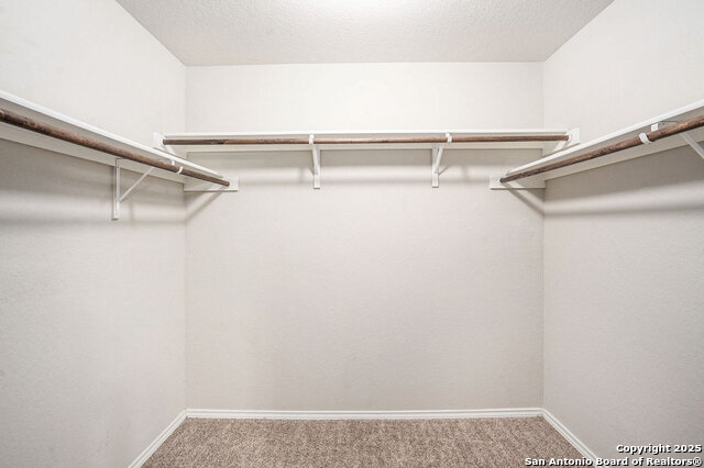 Image 18 of 27 For 5903 Autumn Palms