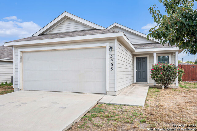 Image 2 of 27 For 5903 Autumn Palms