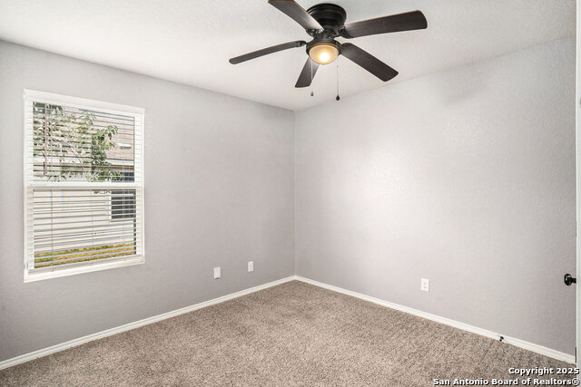 Image 21 of 27 For 5903 Autumn Palms