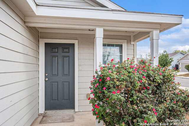 Image 4 of 27 For 5903 Autumn Palms