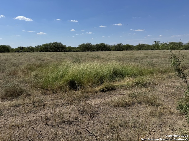 Listing photo id 50 for 2755 Fm 1436