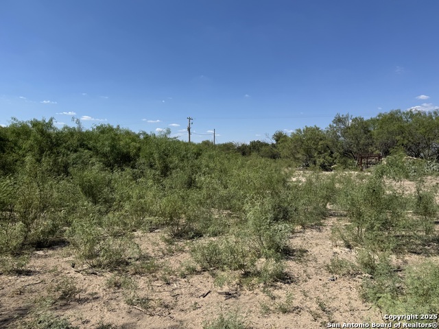 Listing photo id 55 for 2755 Fm 1436