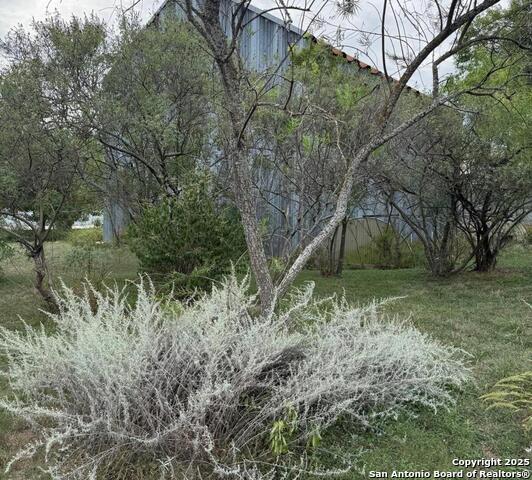 Listing photo id 2 for 407 High St.