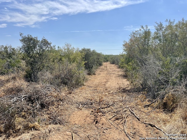 Image 6 of 8 For 3272 County Road 1515
