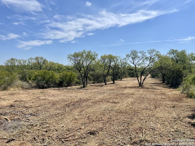 Image 7 of 8 For 3272 County Road 1515