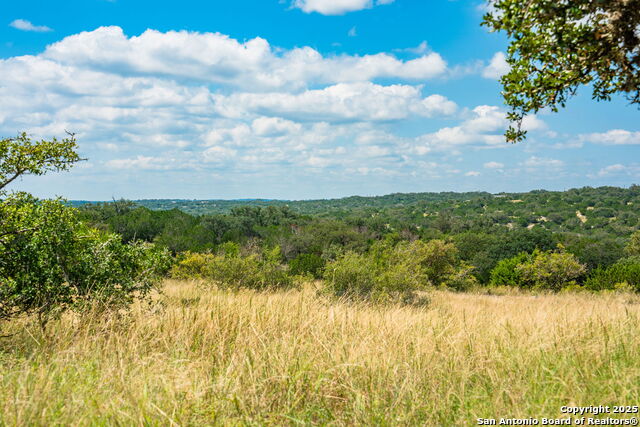 Listing photo id 8 for 12995 Hackberry