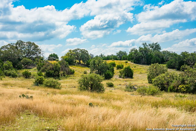 Listing photo id 9 for 12995 Hackberry