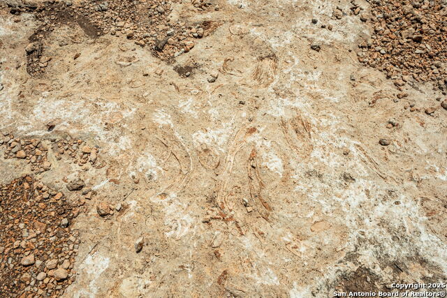 Listing photo id 12 for 12995 Hackberry