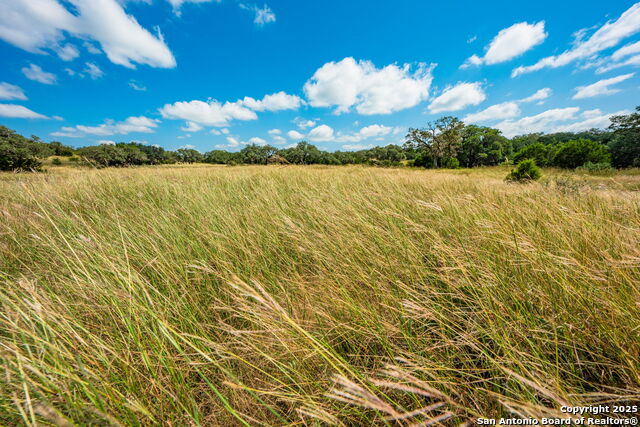 Listing photo id 14 for 12995 Hackberry