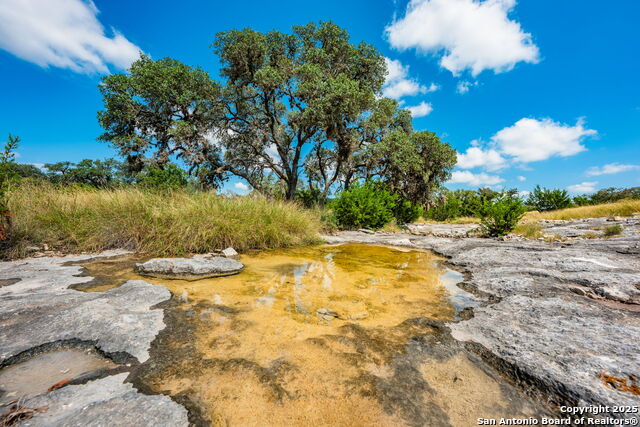 Listing photo id 15 for 12995 Hackberry