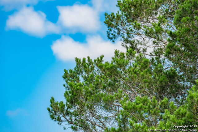 Listing photo id 17 for 12995 Hackberry