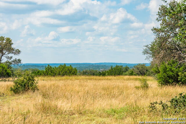 Listing photo id 0 for 12995 Hackberry