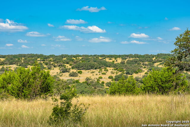 Listing photo id 19 for 12995 Hackberry