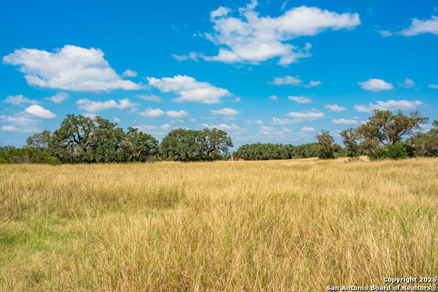 Listing photo id 23 for 12995 Hackberry