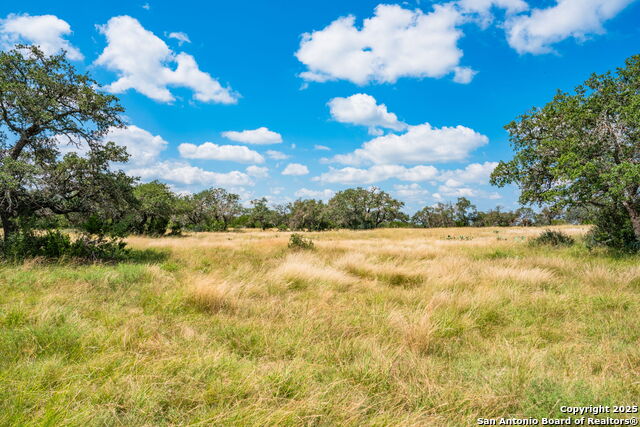 Listing photo id 1 for 12995 Hackberry