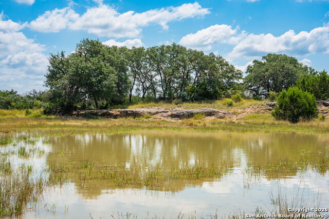 Listing photo id 2 for 12995 Hackberry