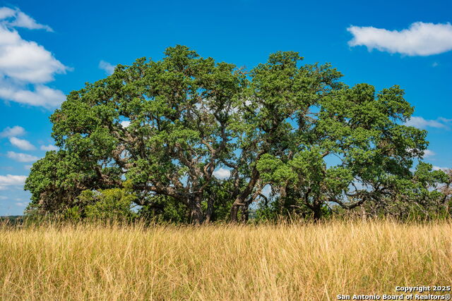 Listing photo id 4 for 12995 Hackberry