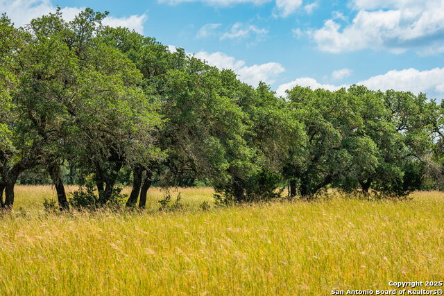 Listing photo id 5 for 12995 Hackberry