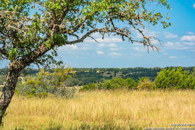 Listing photo id 6 for 12995 Hackberry