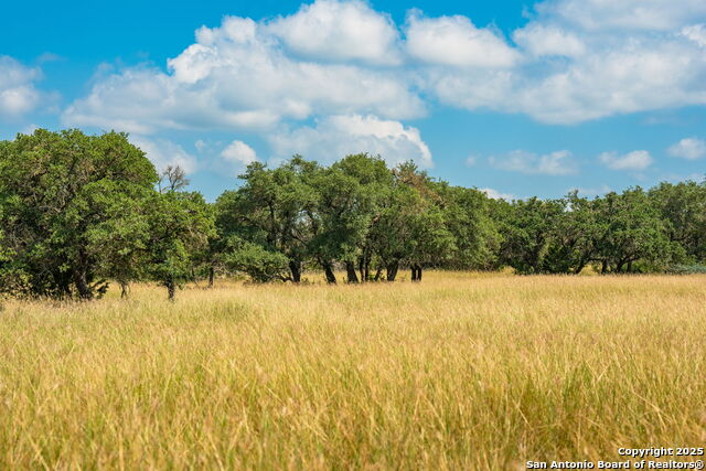 Listing photo id 7 for 12995 Hackberry