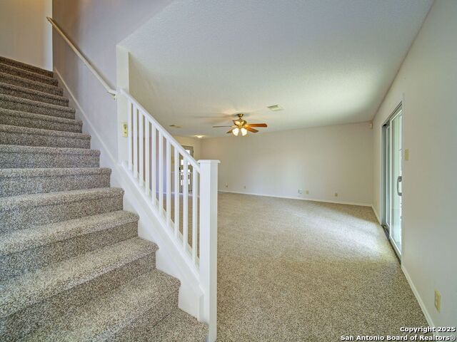 Image 14 of 44 For 8414 Park Olympia