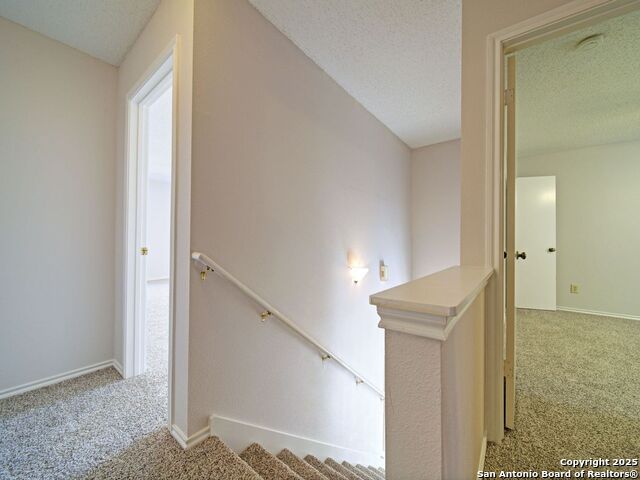 Image 38 of 44 For 8414 Park Olympia