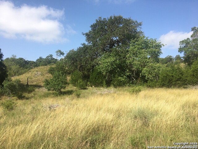 Image 58 of 67 For 128 Skylight Trail