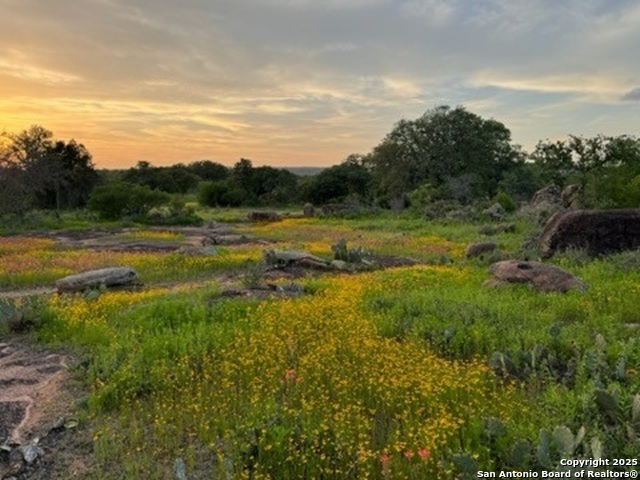 Image 4 of 28 For 4745 County Road 120